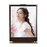 專業(yè)提供TN STN TFT OLED等各項液晶顯示屏